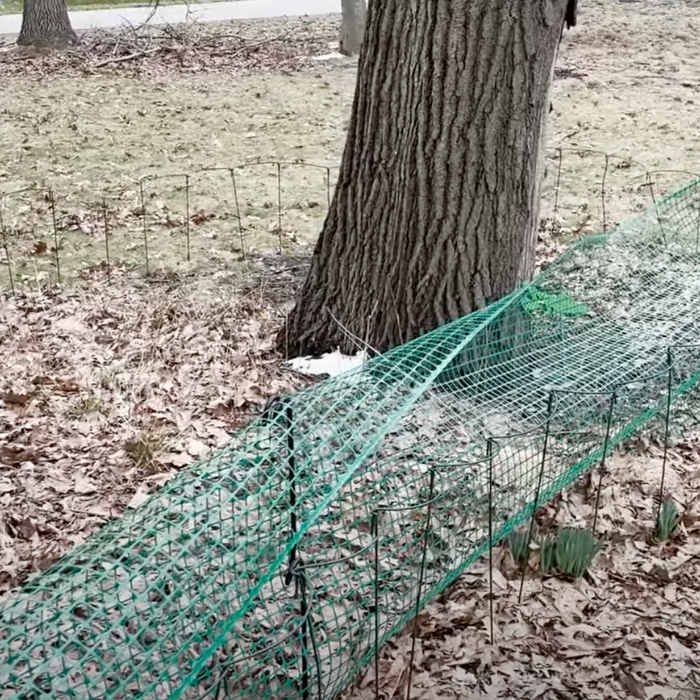 Spring Yard Cleanup Video