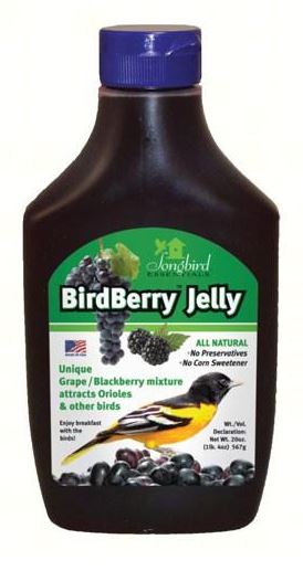 All Around Oriole Bundle - BirdBerry Jelly