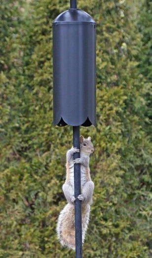 5 Piece Feeder Pole Set, Flange Top and Baffle - squirrel can't get past the baffle