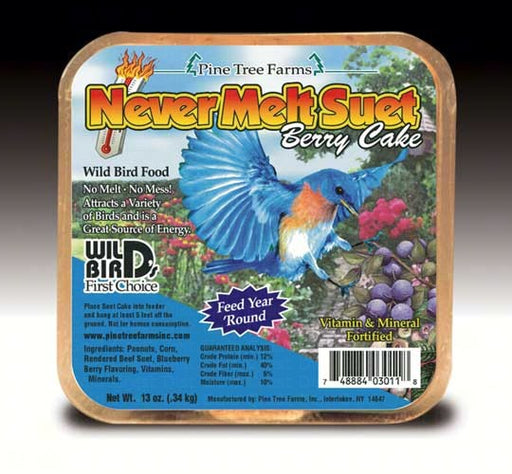 Never Melt Suet Berry Cake in 12oz size