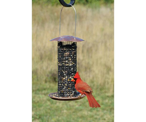 small copper bird feeder in use