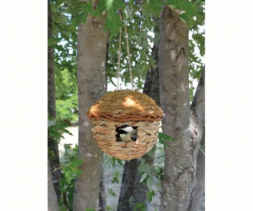 Round Hanging Grass Roosting Pocket in use