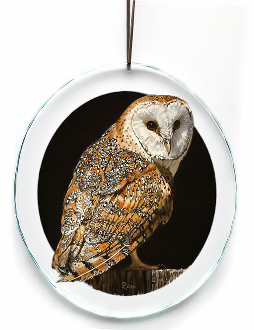 Midnight Watch - Barn Owl Suncatcher