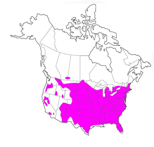 wild turkey range map