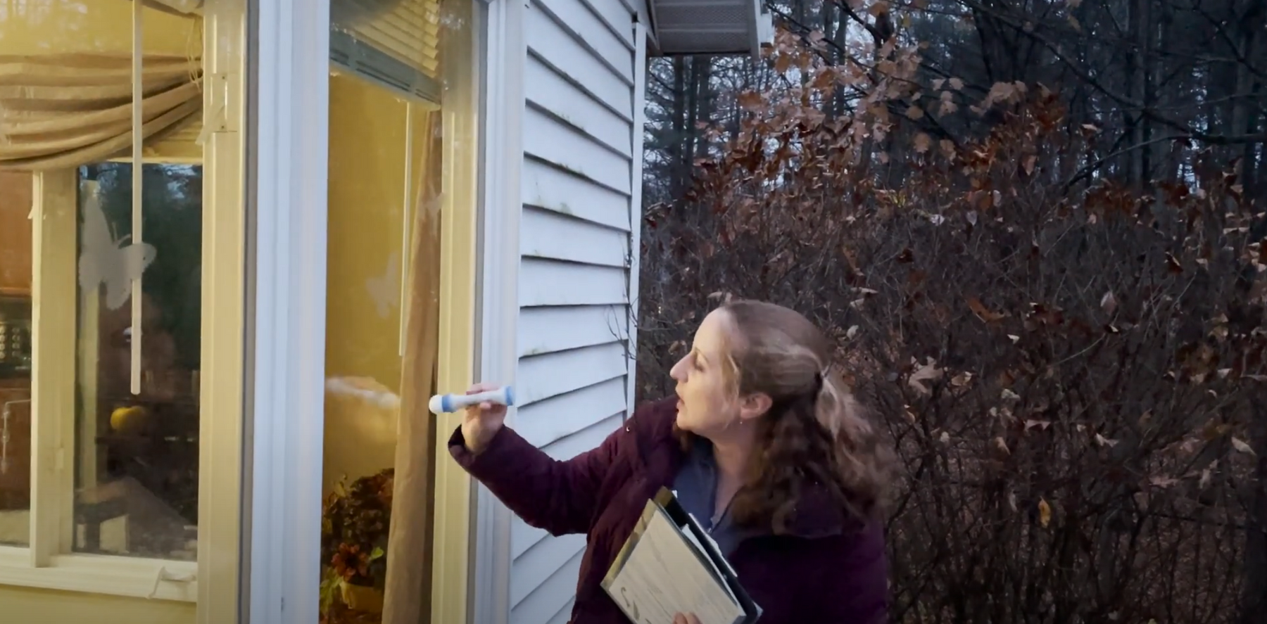 How to Prevent Bird window Collisions