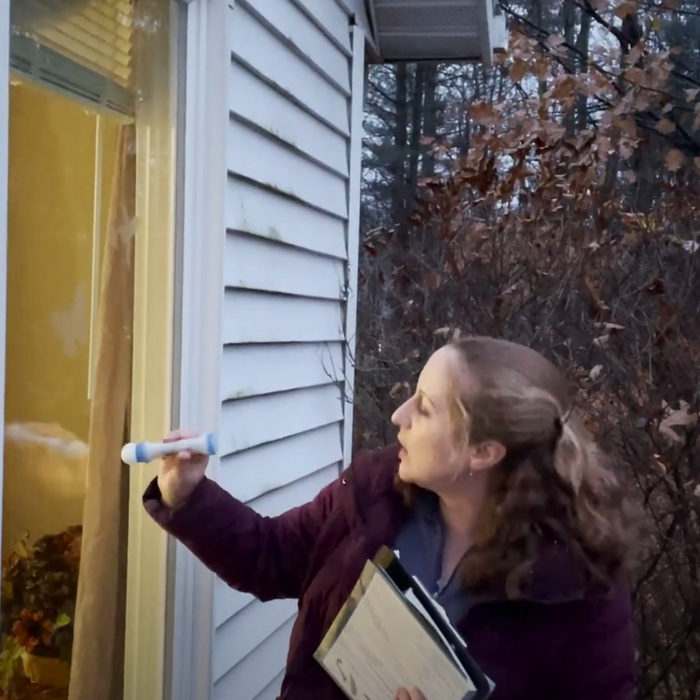 How to Prevent Bird window Collisions