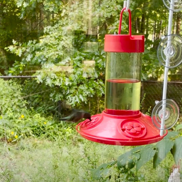 When to Remove Hummingbird & Oriole Feeders 