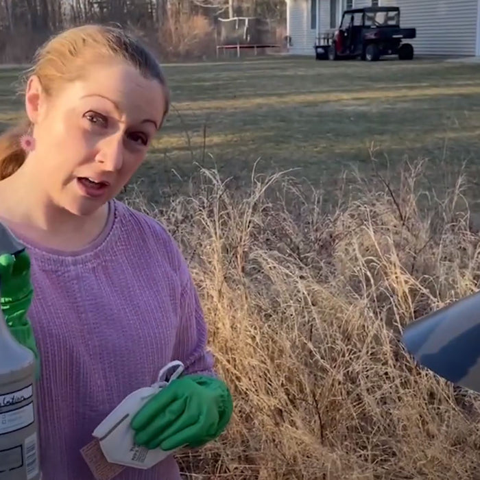 Prepare for Spring Nesting