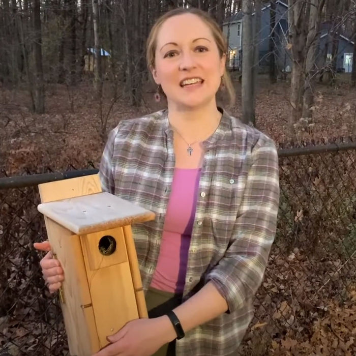 Nest Box Cleaning