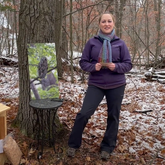 Barred Owl Nest Boxes