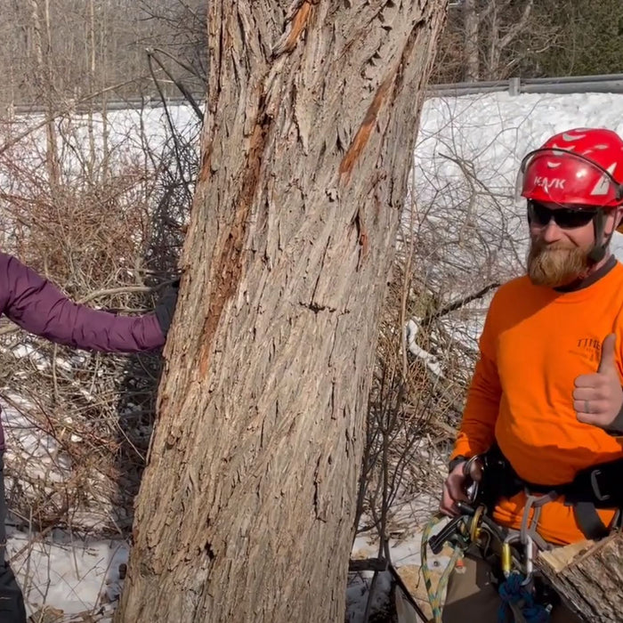 Snag Habitat Demo