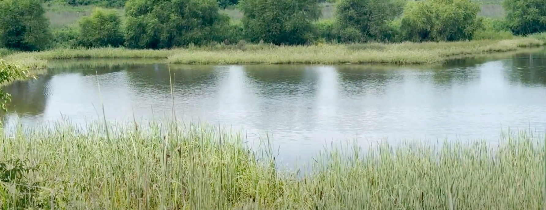 Chestnut Grove Natural Area & Frey Farm Landfill Video