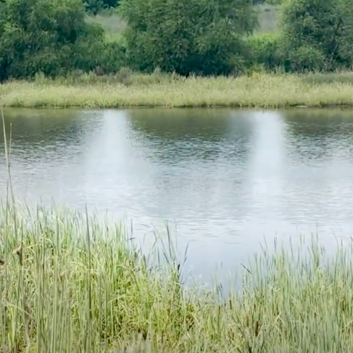 Chestnut Grove Natural Area & Frey Farm Landfill Video