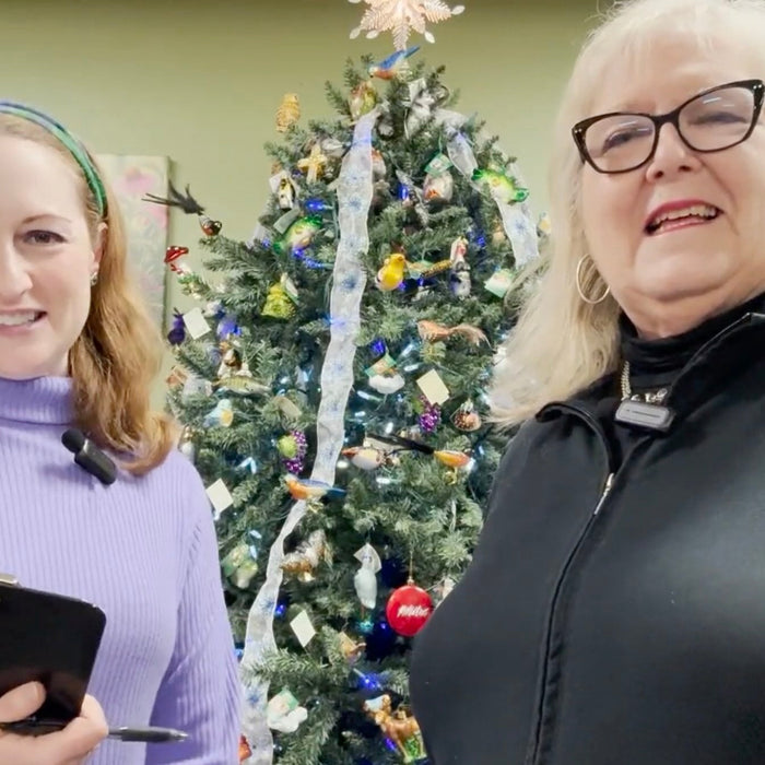 Christmas Bird Count 2025 - Call for Participants Video