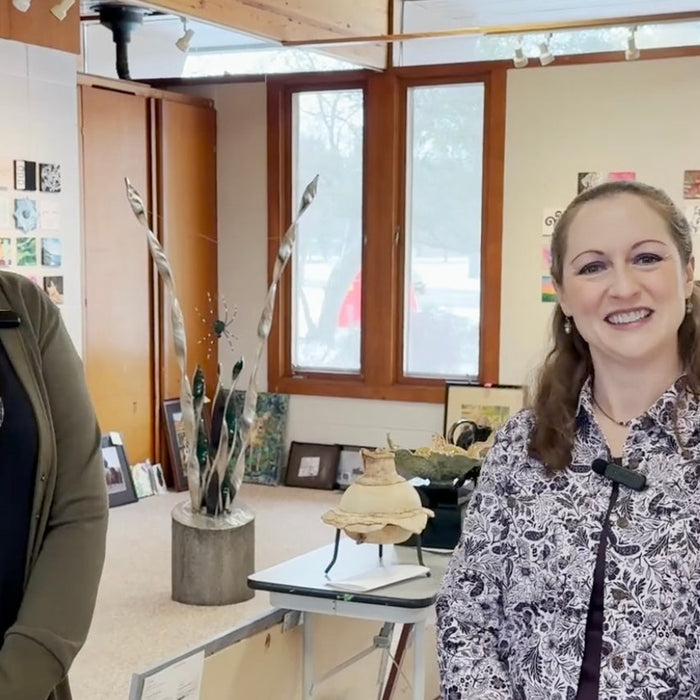 Creative 360 - Animals in Art Exhibition Video