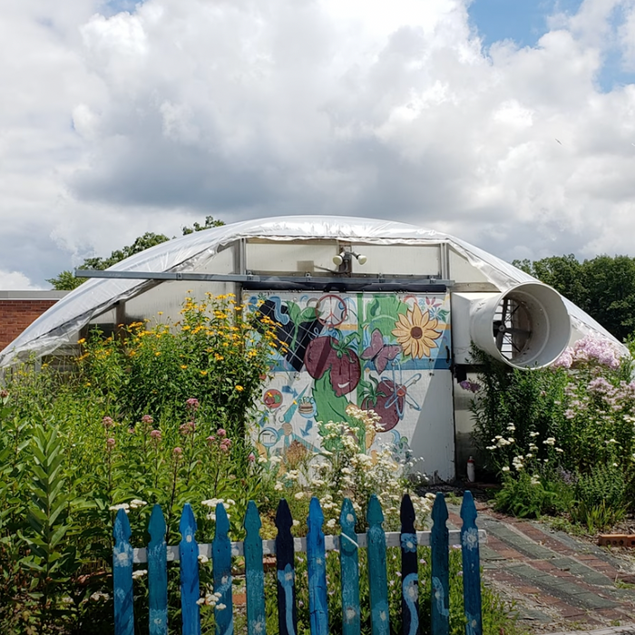 Dow High Go Green Club Pollinator Garden Video