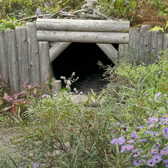 Fort Williams Park Children's Garden Video