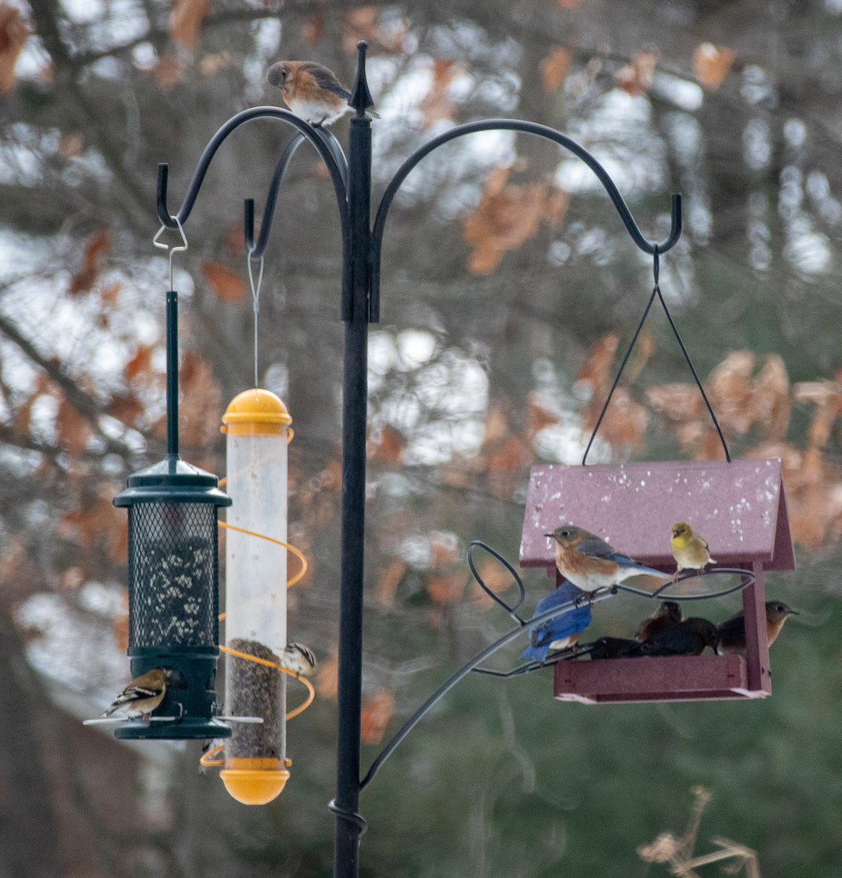 Hanging Bird Feeder With Ornamental Birds Handmade Metal Art Home