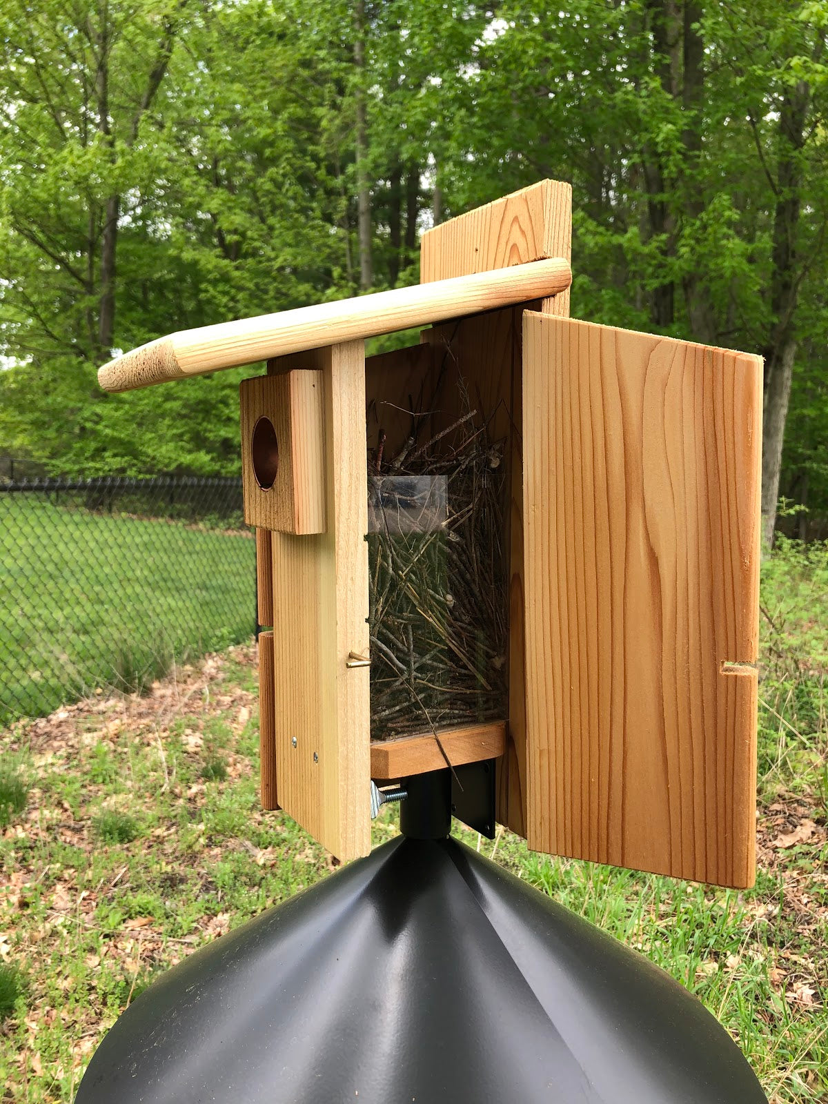 How to Attract Birds to Your Bird House: A Backyard Guide — Nature Niche