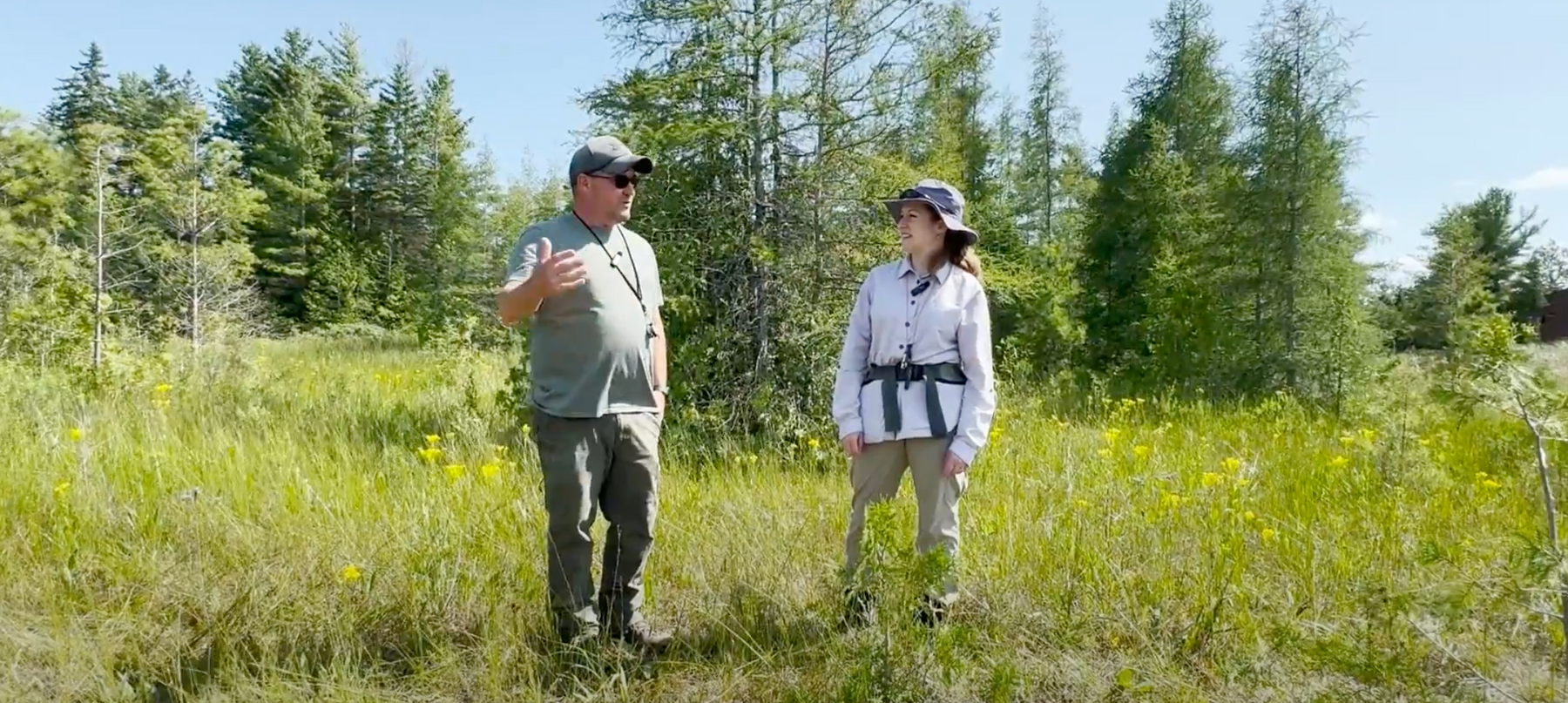 Introduction to Michigan Wetlands Association Video