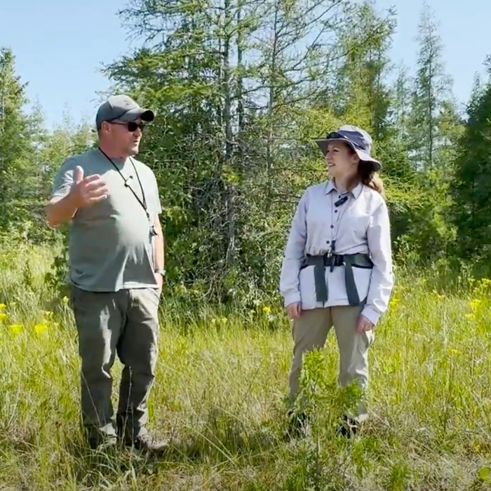 Introduction to Michigan Wetlands Association Video