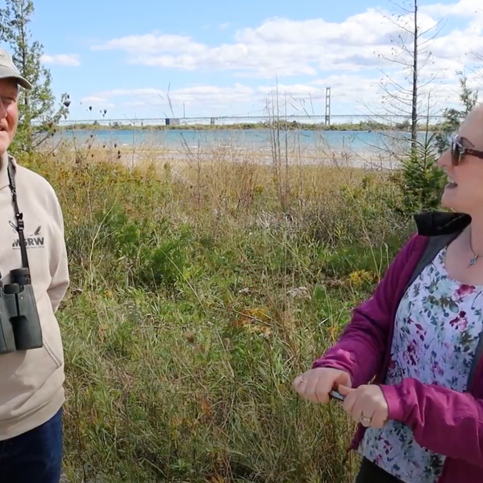 Mackinac Straits Raptor Watch Video