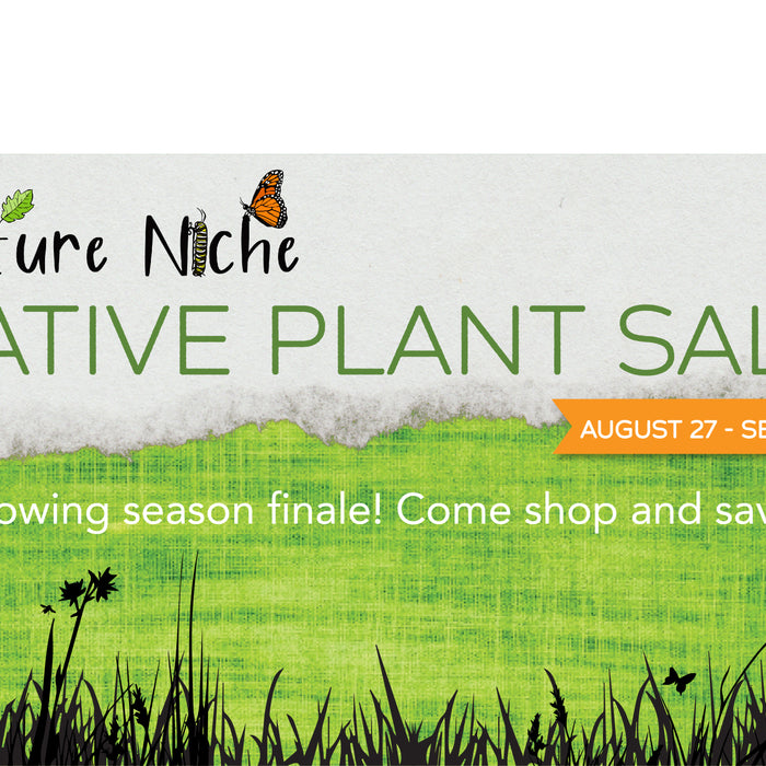 Growing Season Finale - Last Native Plant Sale for 2020