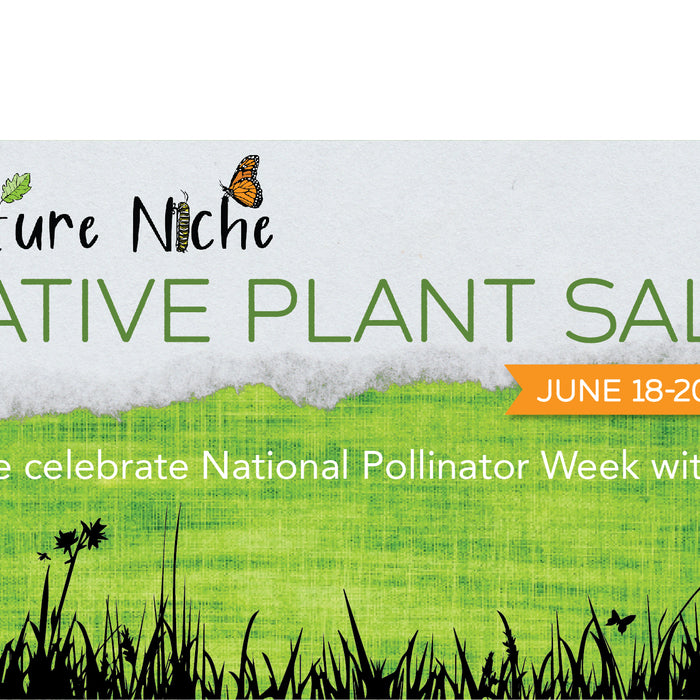 2020 Pollinator Plant Sale