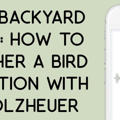 Naturally Teaching Podcast - How to Put Together a Bird Feeding Station