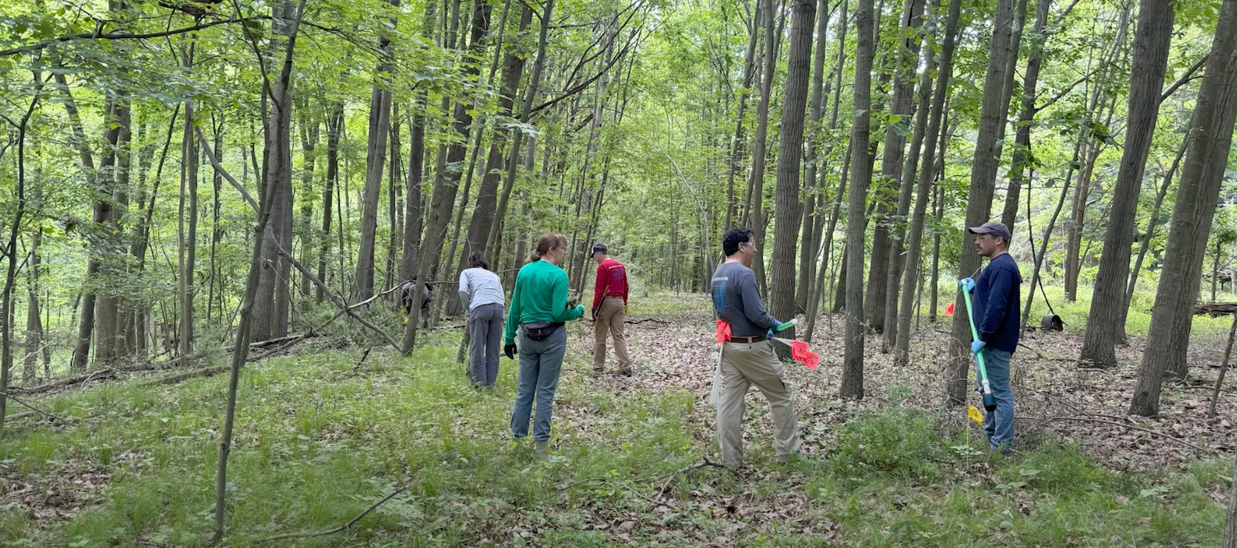 Nelson Woods & Woody Invasive Control Demos Video