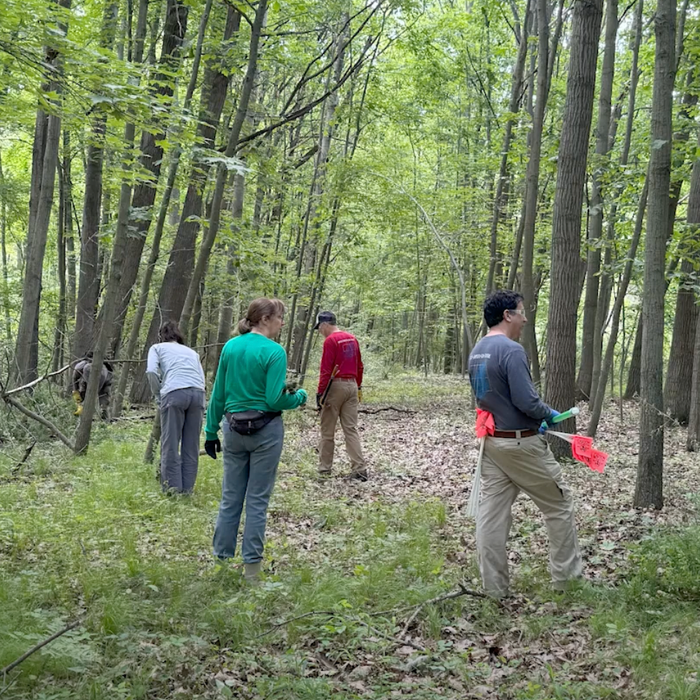 Nelson Woods & Woody Invasive Control Demos Video