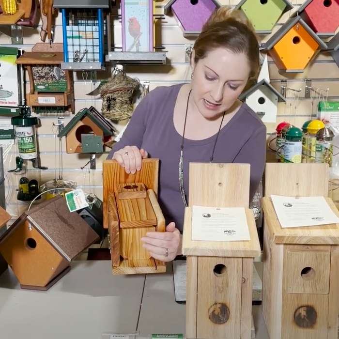 Nest Box Basics: Key Design Features Video