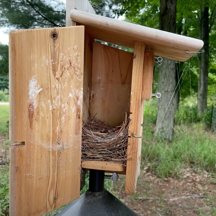 Nest Box Basics - Monitoring & NestWatch Data Video