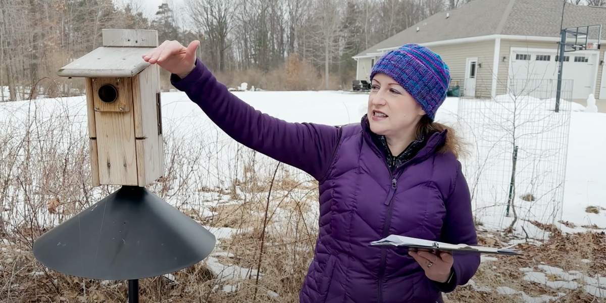 Mondays with Martha #146 - Nest Box Placement & Predator Protection ...
