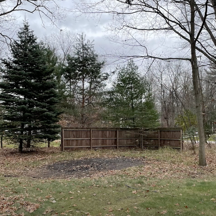 Planning for Native Plantings Video