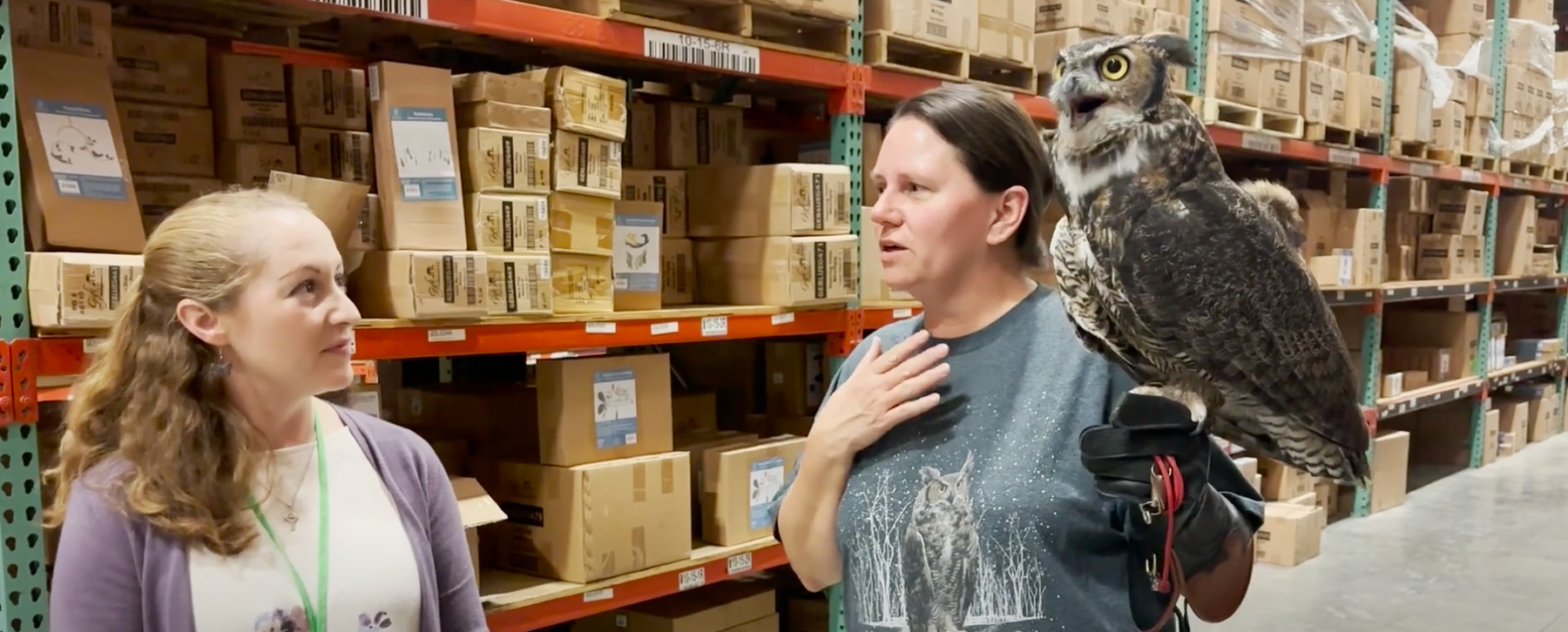 Mondays with Martha #179 - University of Missouri Raptor Rehabilitation ...