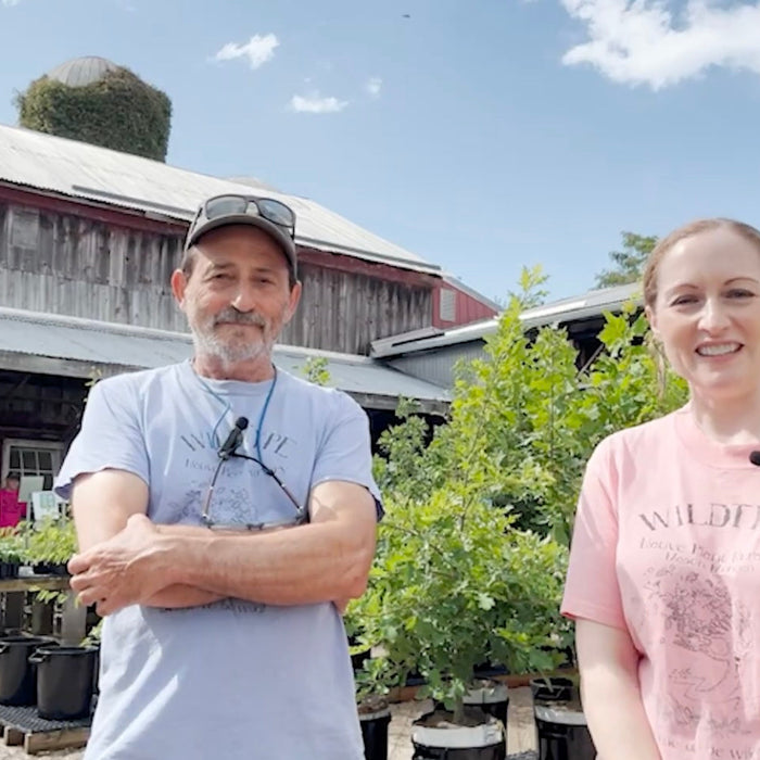 Wildtype: Native Plants & Ecological Services Video