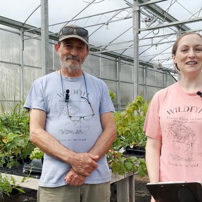 Wildtype Native Plant Nursery: Late Growing Season Planting Video