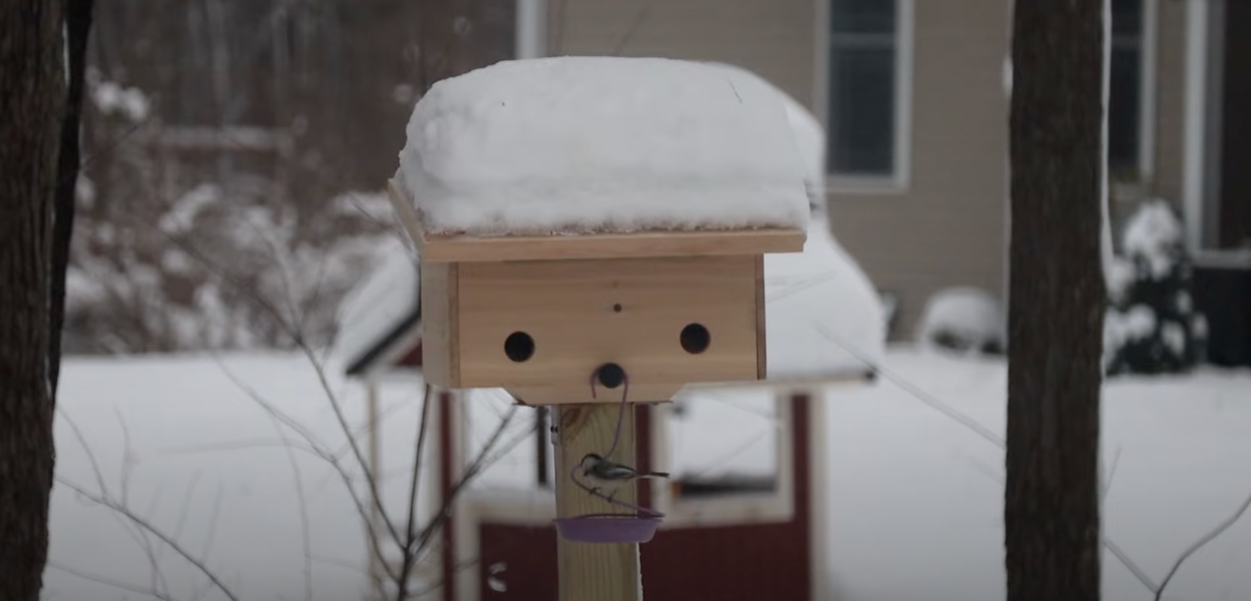 Winter Roost Box Installation Video