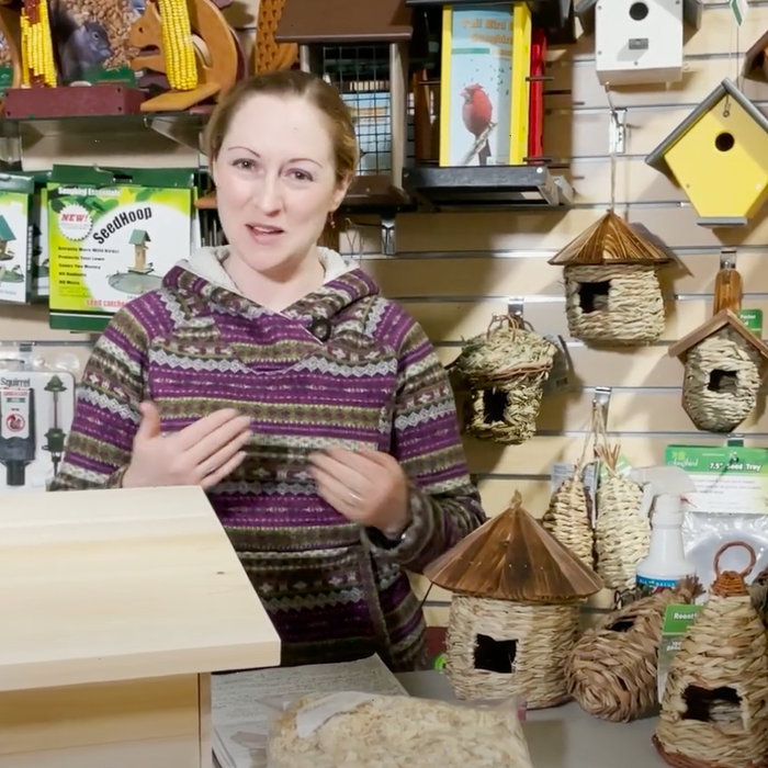 Winter Roosts for Wild Birds Video