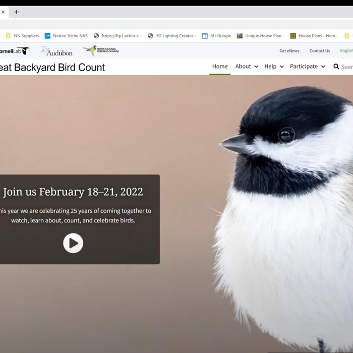 GBBC eBird Data Demo