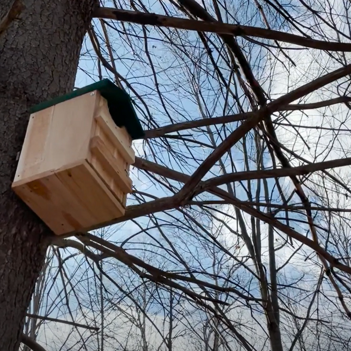 Owl Box Installation