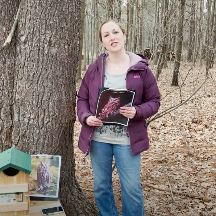 Eastern Screech Owl Nest Boxes