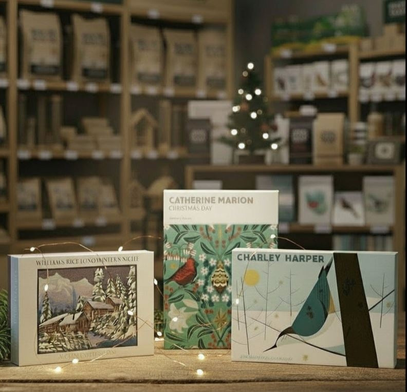 holiday card boxed sets with Christmas lights