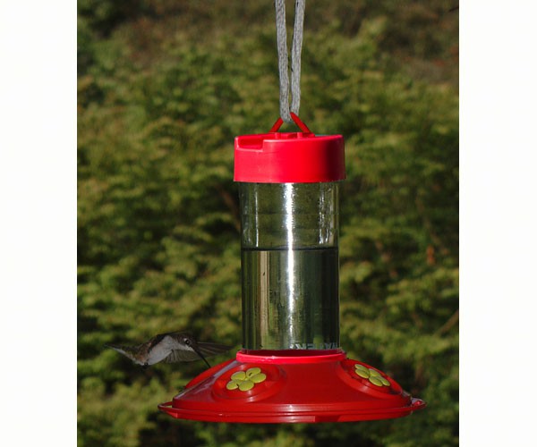 Hummingbird Feeders to attract hummingbirds — Nature Niche