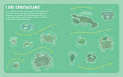 Backpack Explorer Stickers: Ocean Adventure