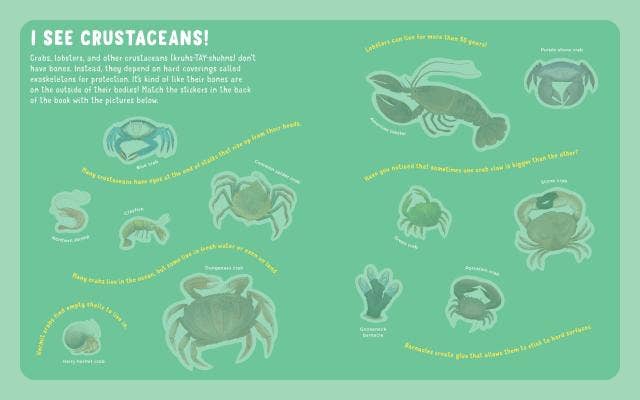Backpack Explorer Stickers: Ocean Adventure