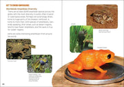 Reptiles & Amphibians for Kids 
sample page