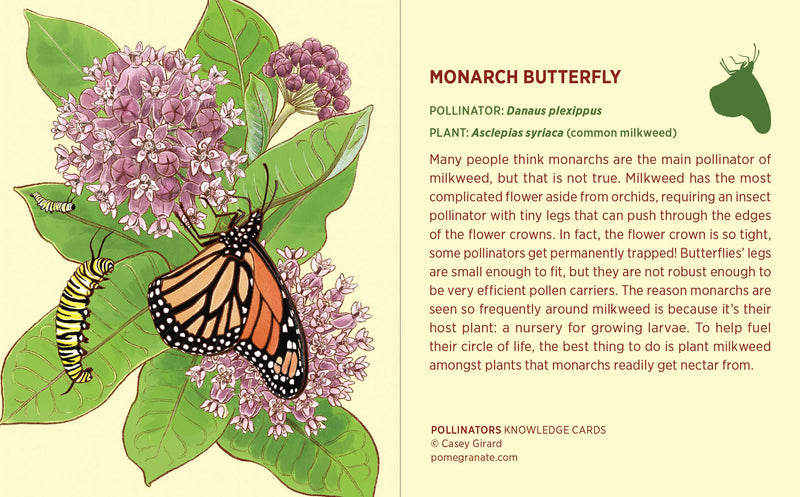 Pollinators Knowledge Cards
