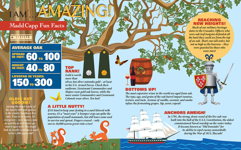 Infographic about oaks with various facts and illustrations on a colorful background